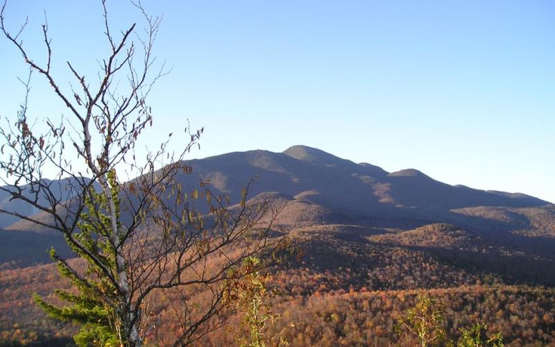Mount Jo is known as a great view for an easy hike.