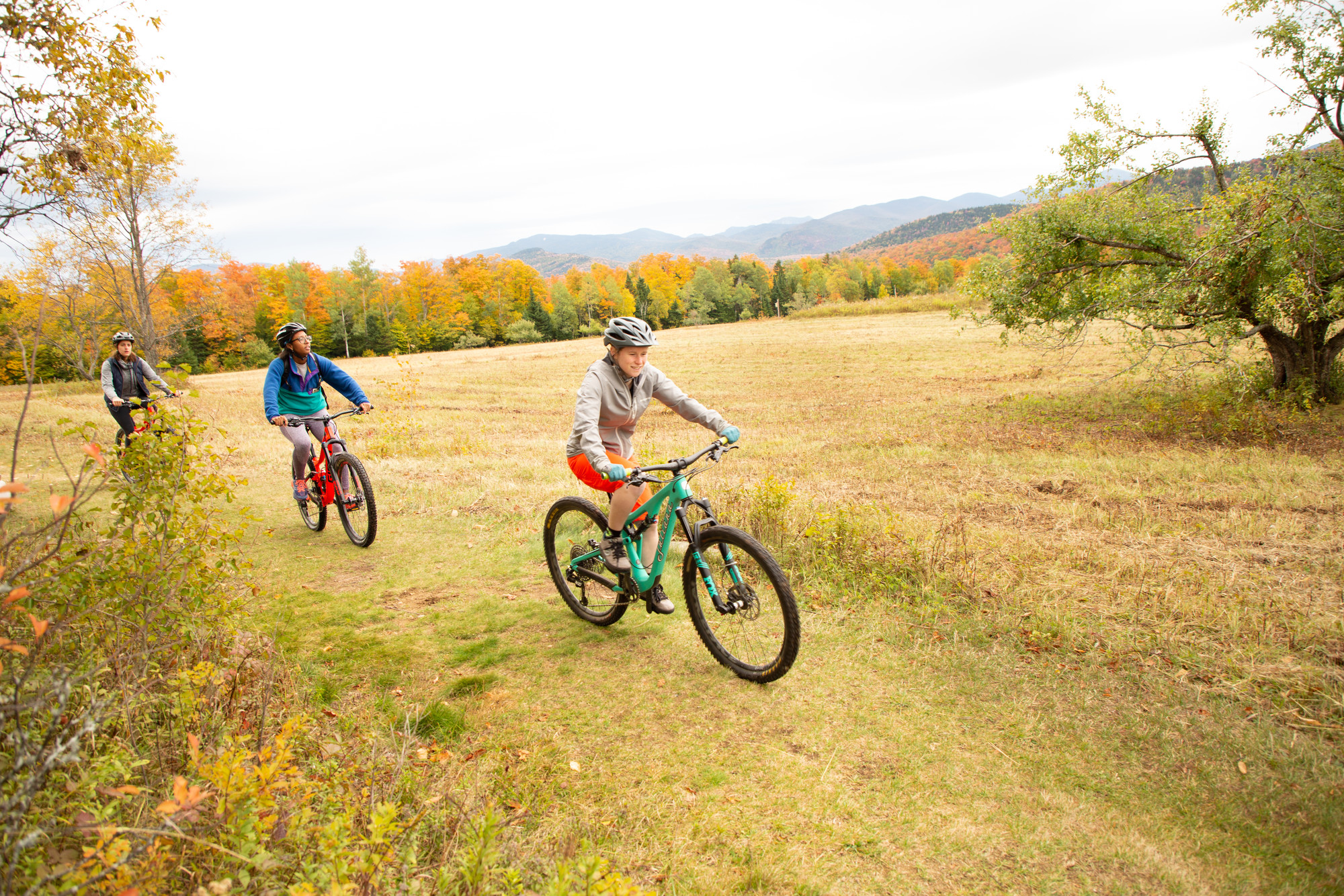 Mountain biking group on sale