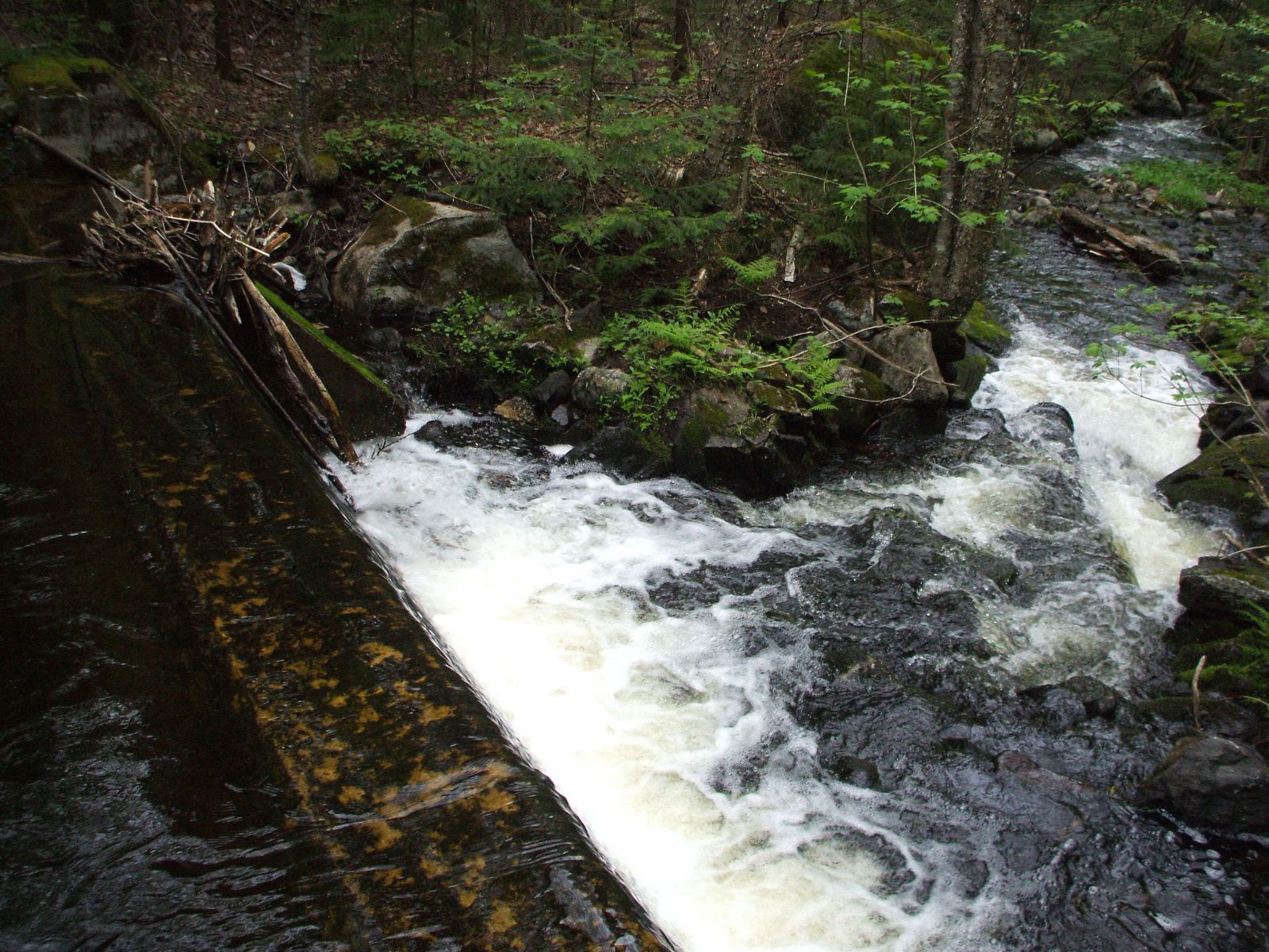 Seymour Mountain and Alford Pond---A seldom visited gem | Lake Placid ...