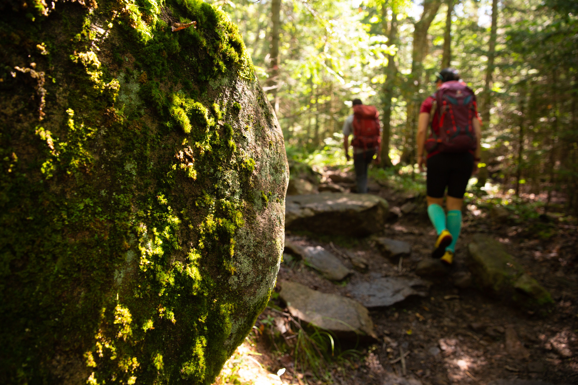 4 Hikes for Killer Views Lake Placid, Adirondacks