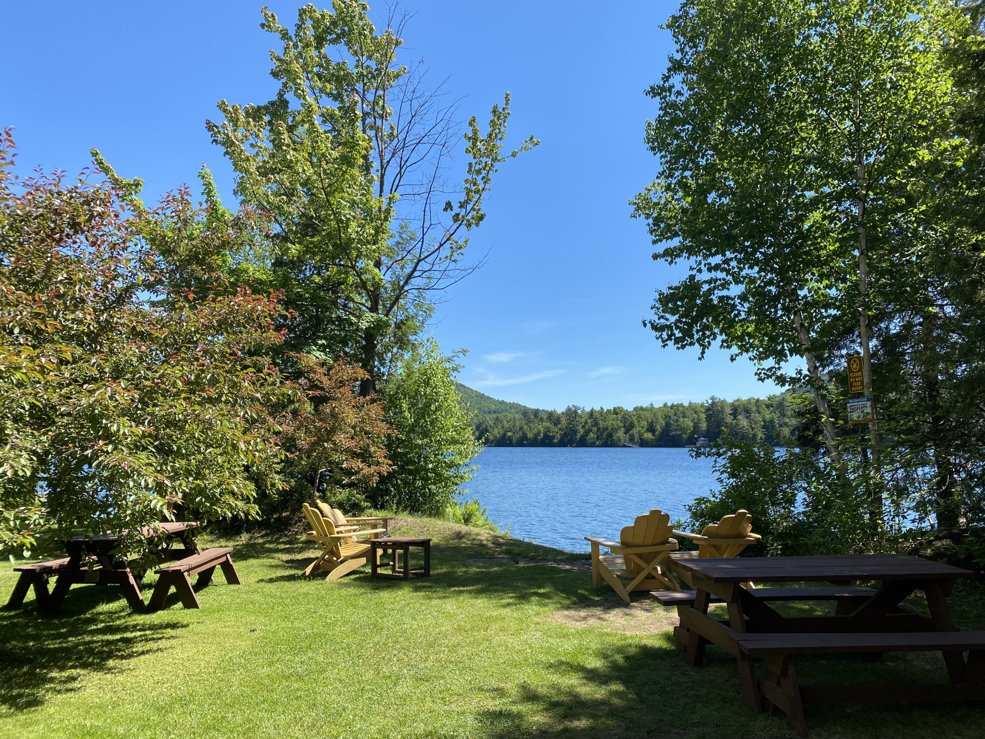 Coffee To Go, Please! | Lake Placid, Adirondacks