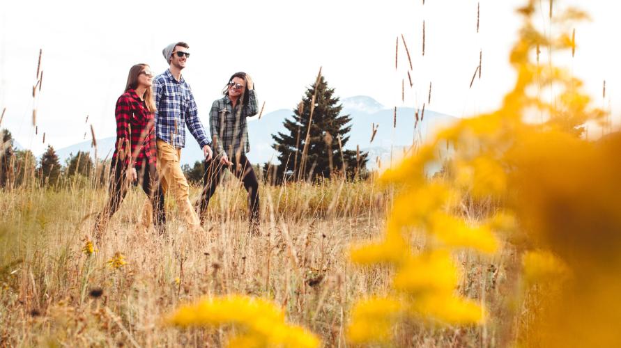 Three friends in flannels walk through mountain field with goldenrod in foreground