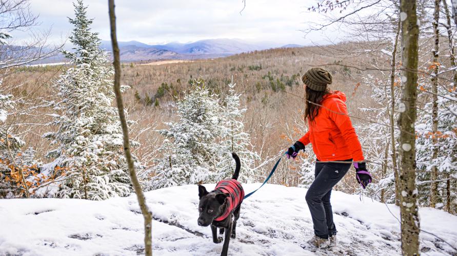 A woman hiking with her dog, standing at the top of a mountain overlooking winter scenic views.