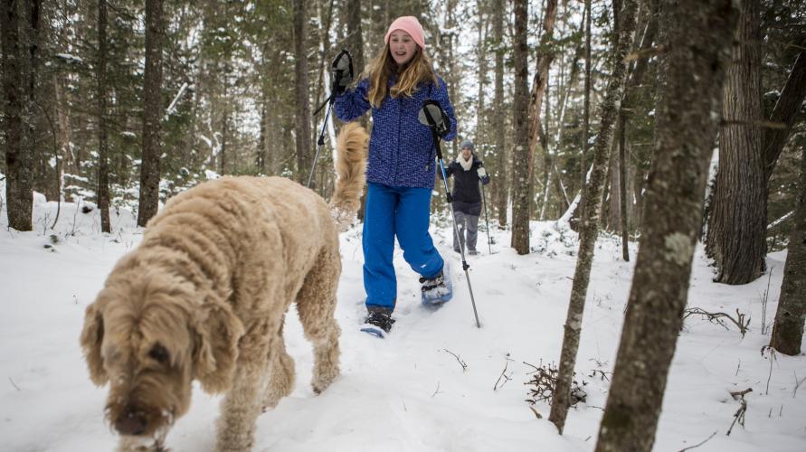 A dog on a snowshoe adventure with a family through a snowy forest.