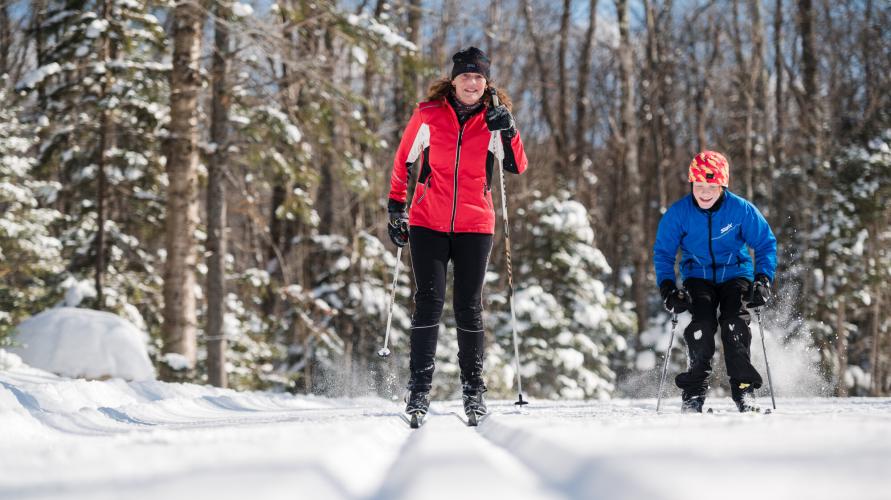 Two people cross country skiing in a snowy forest.