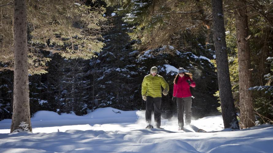 A man and a woman in winter outdoor clothing snowshoe through a snowy forest on a sunny day.