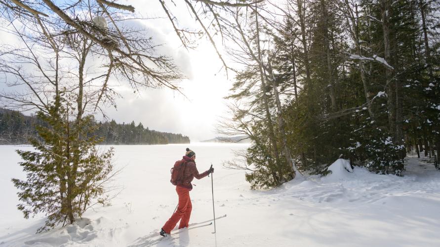 A person cross-country skiing through the woods.