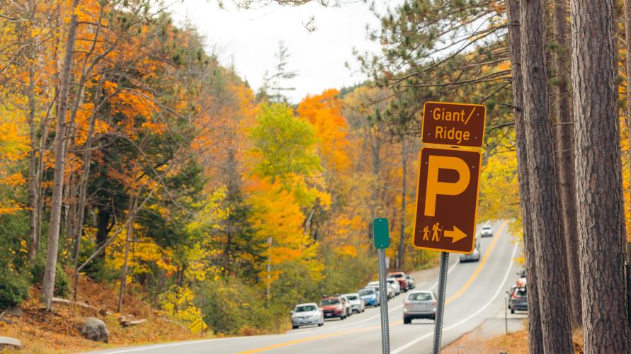 Trailhead parking sign and cars parked along mountain road