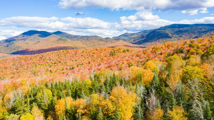 View of fall foliage covered mountains