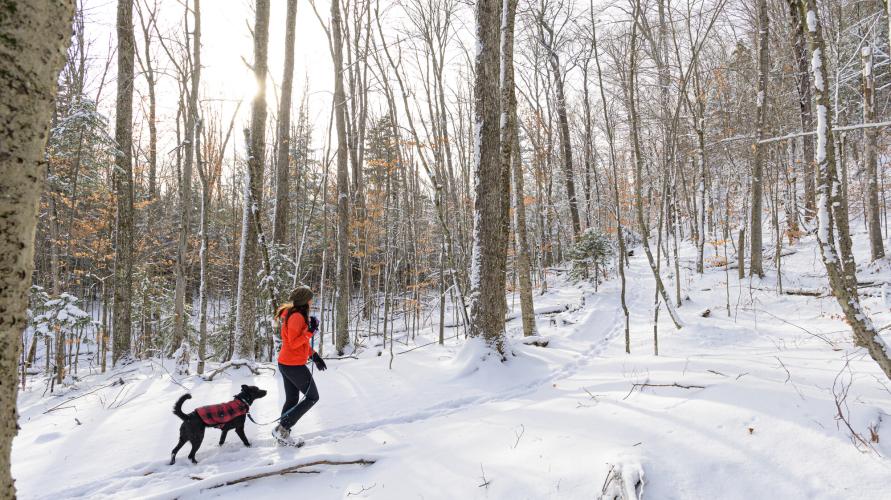 A person hiking up a snowy hill with their dog.