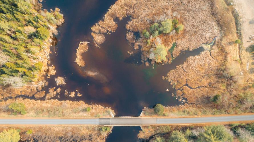 An aerial view looking directly down on a trail that passes through and over a scenic Adirondack wetland.