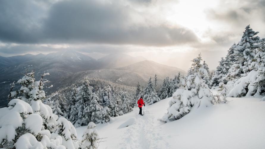 A person snowshoeing up a snowy mountain.