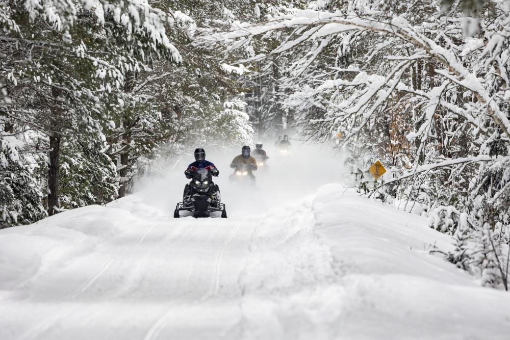 A group of snowmobilers drive through a snowy scene.