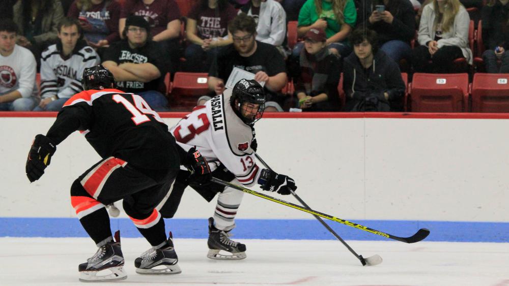 Two hockey players fight for the puck in front of fans.