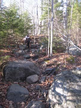 Short Trail up Mt Jo