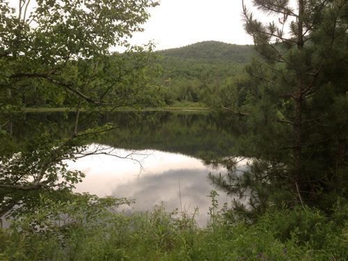 View of pond on Tracy Road