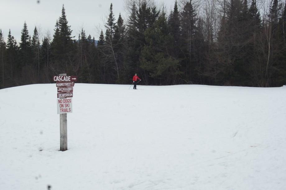 Cascade Sign