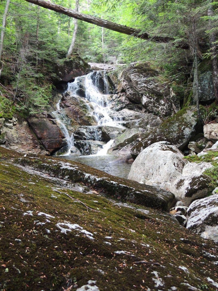 Heading up Wallface Brook