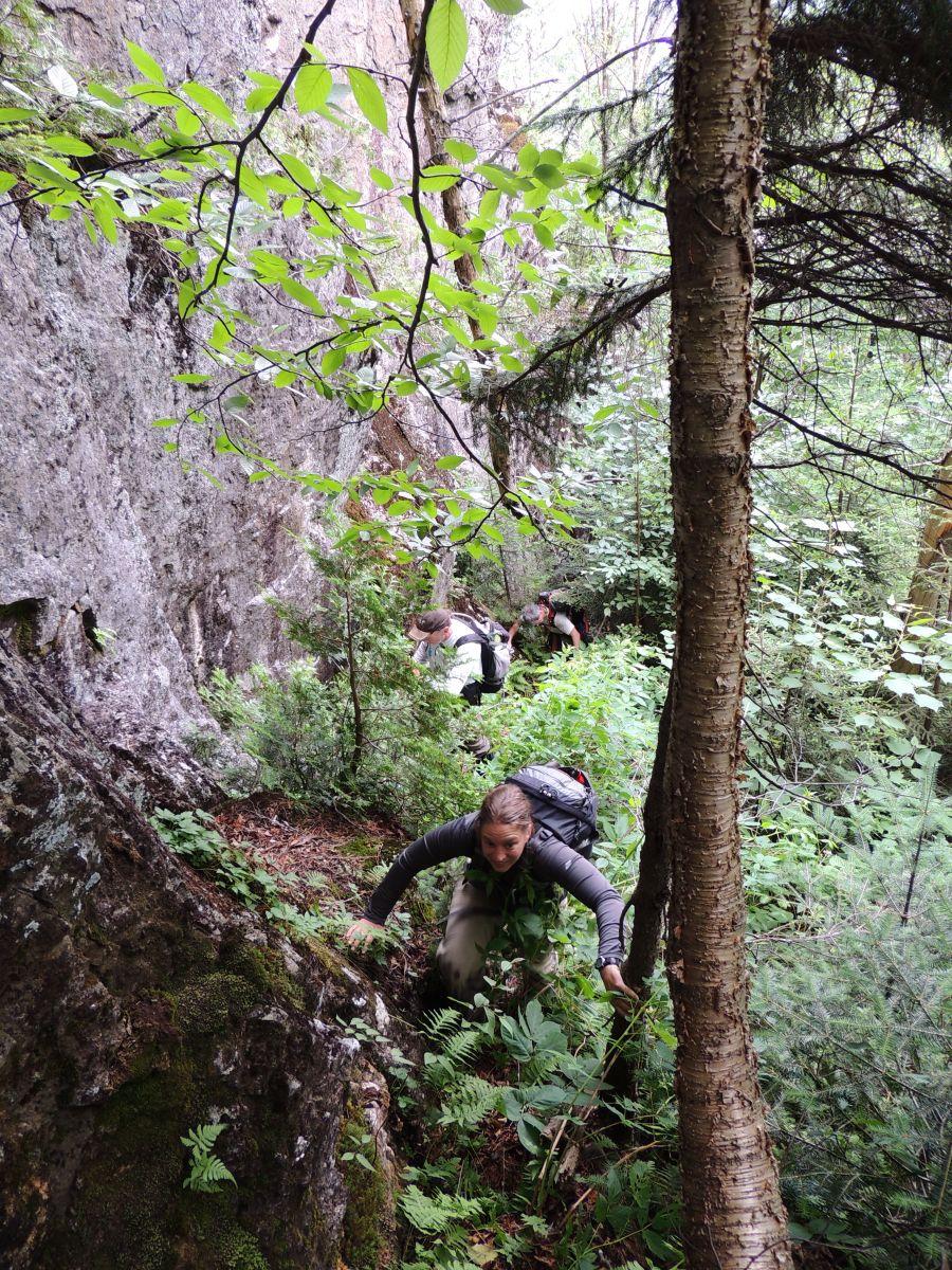 A the steep slopes near the cliffs