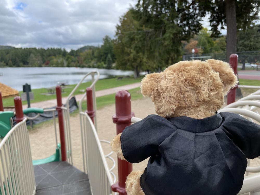 Best slide views in the Adirondacks! Close up of a teddy bear's back perched on the top of a slide on a playground.