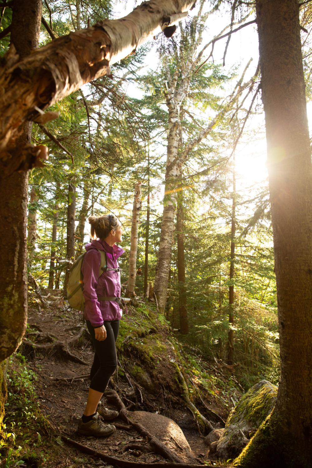 Beautiful views around every corner Hiker standing on trail looking at the sun shining through the trees