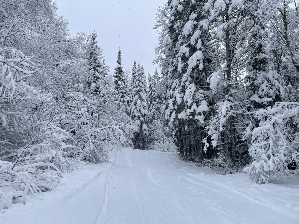 The groomed xc ski trail at Cascade Welcome Center