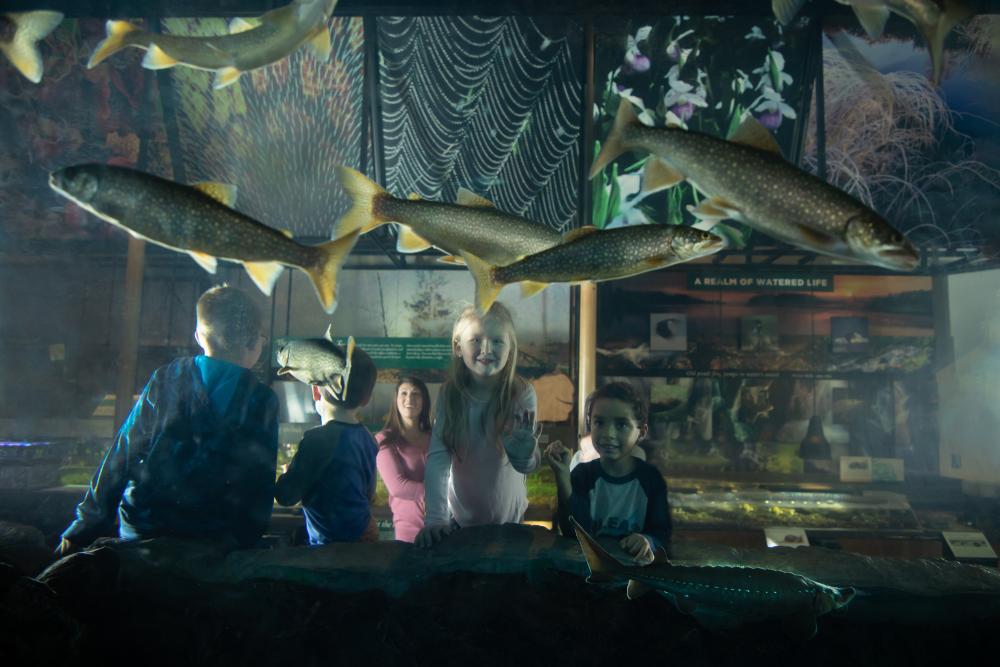 Kids look at fish in an aquarium tank