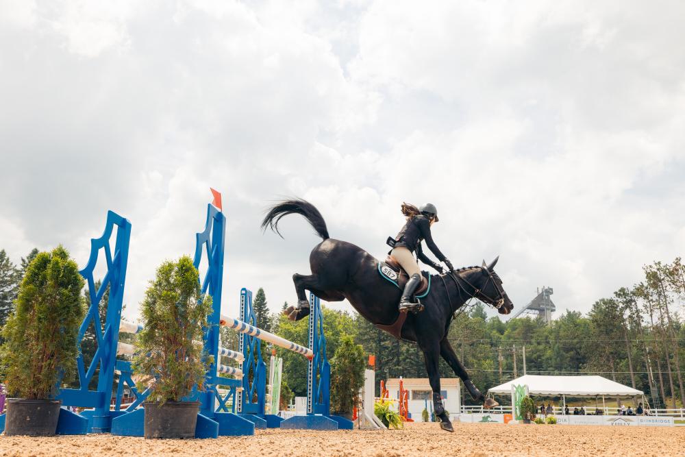 A woman passes a horse jump while riding a black horse in a competition.