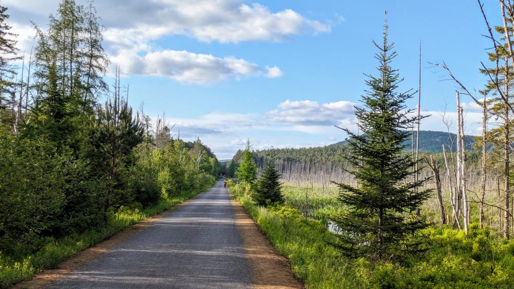 A paved path stretches through Adirondack wetland.