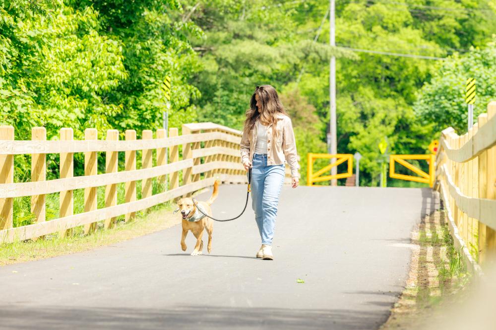 A woman walks her dog on the Adirondack Rail Trail.