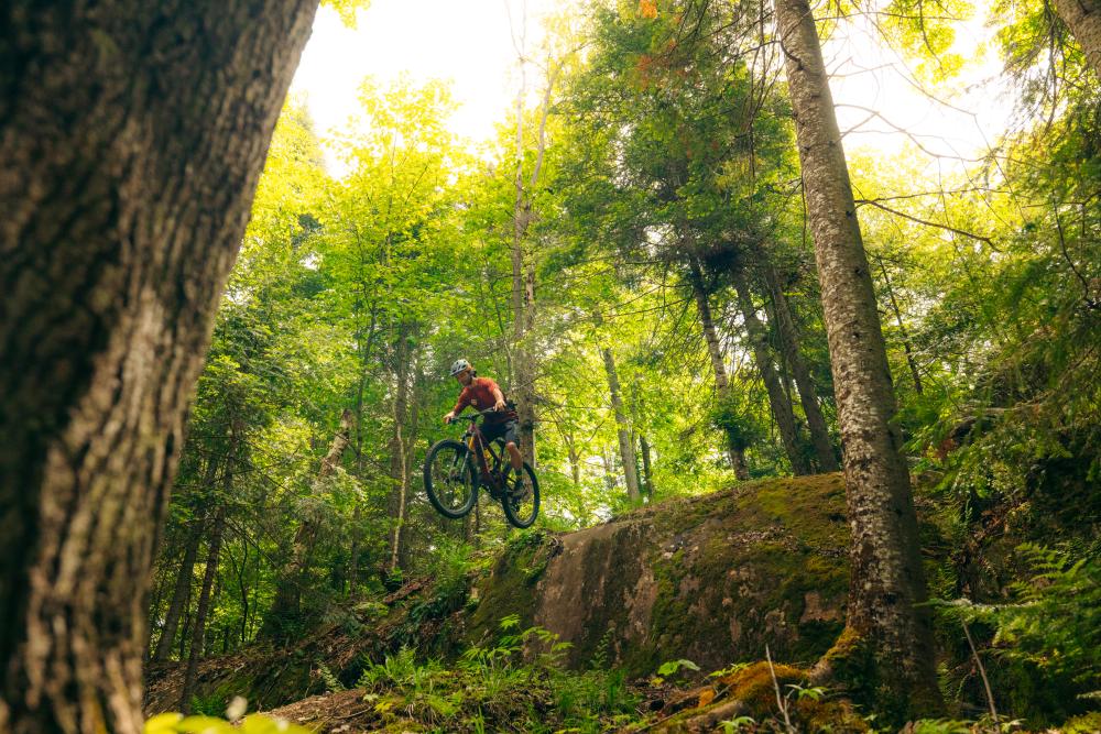 A group of three mountain bikers going downhill