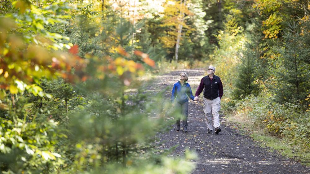 A couple walks down the Adirondack Rail Trail holding hands and looking at the fall leaves.