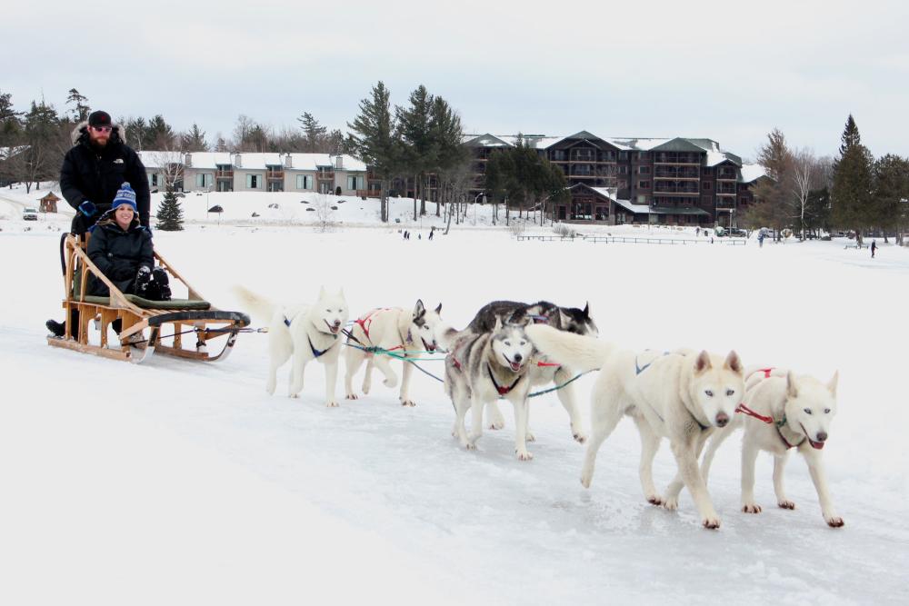 A team of six dogs pulls a sled with a driver and passenger.