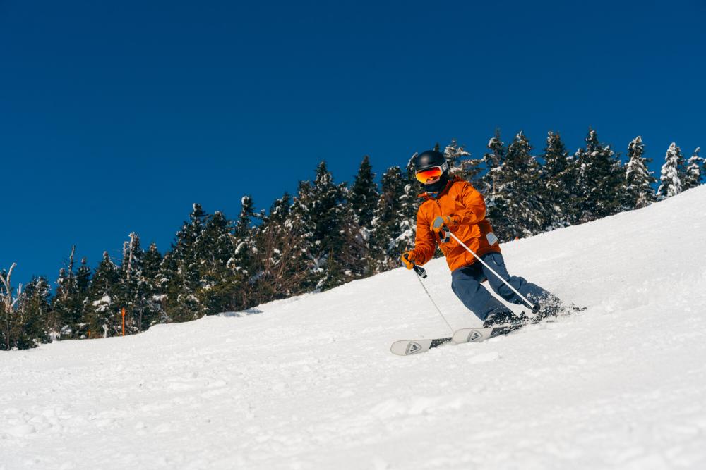 A skier races down a mountain.