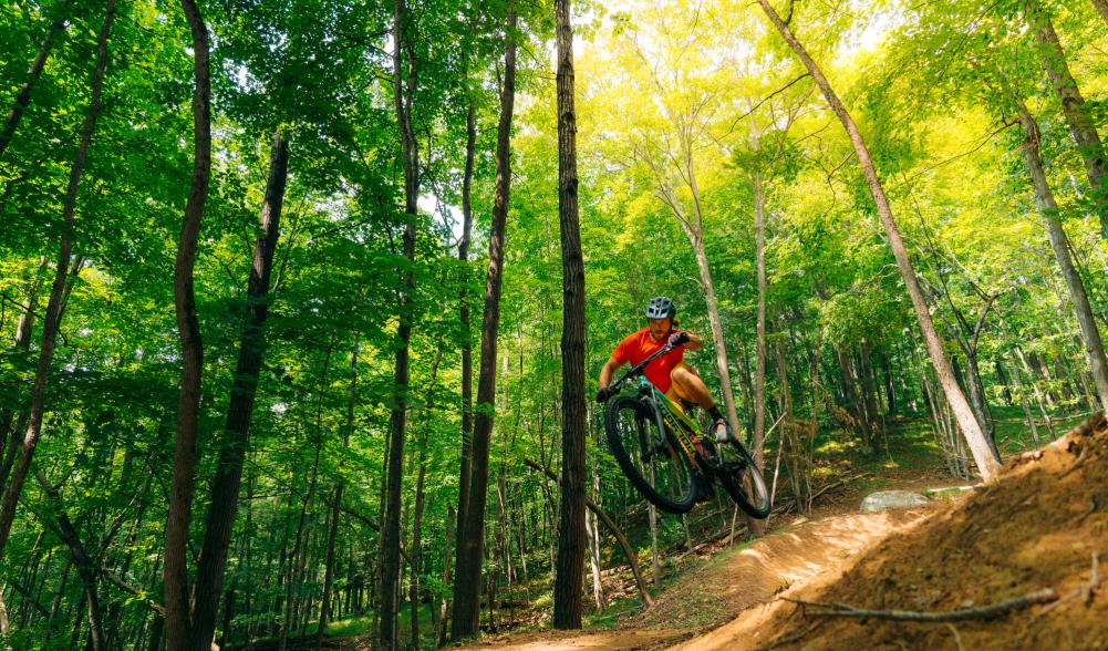 A man in a red t shirt makes a jump on a mountain biking trail.