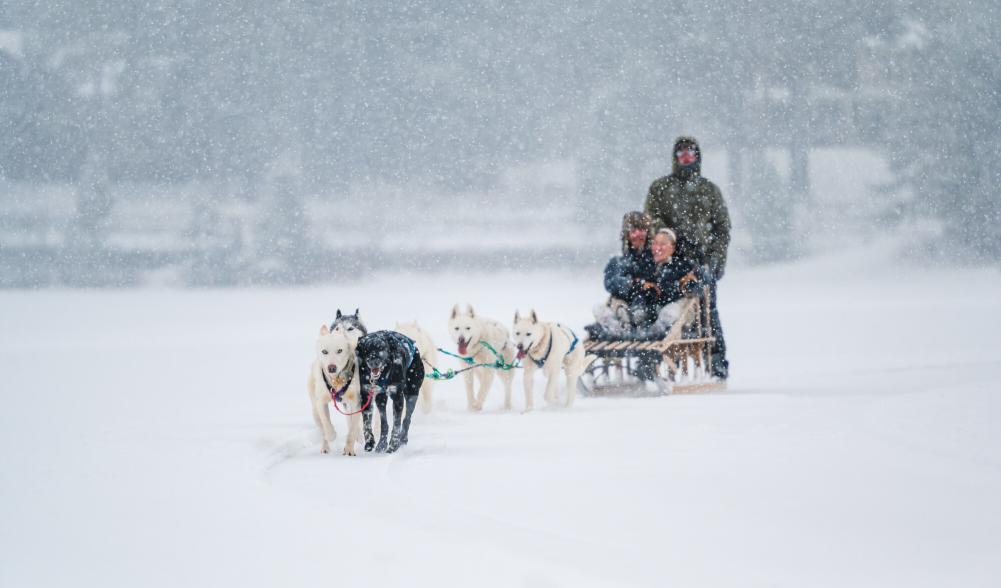 A couple being pulled on dog sleds on Mirror Lake in Lake Placid.