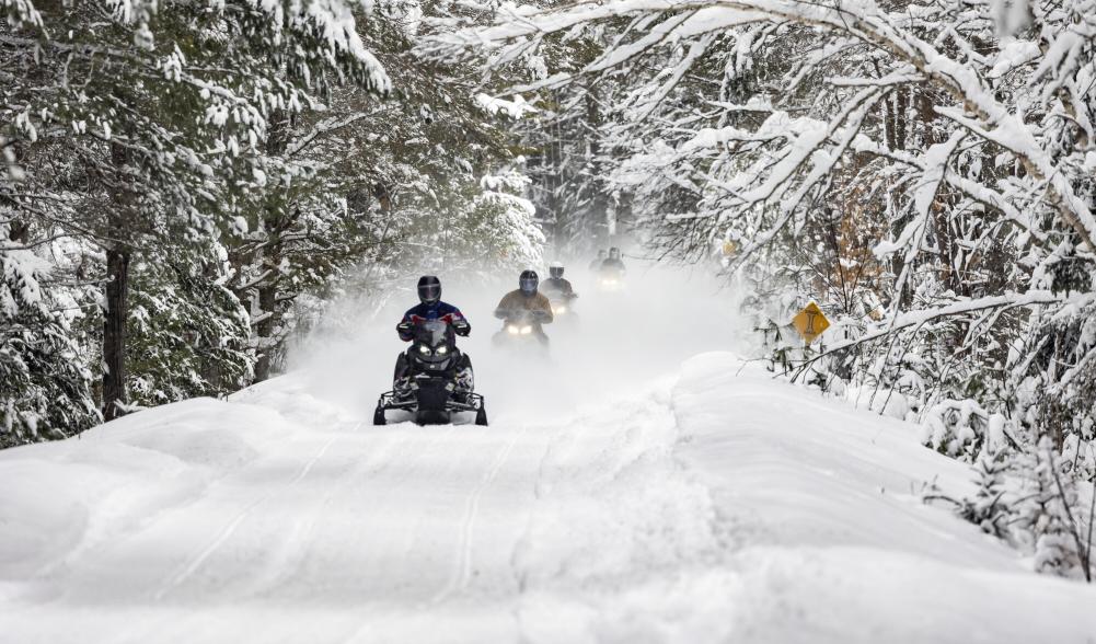 A group of snowmobilers drive through a snowy scene.