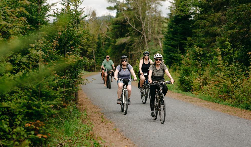 Group of bike riders on forested section of rail trail