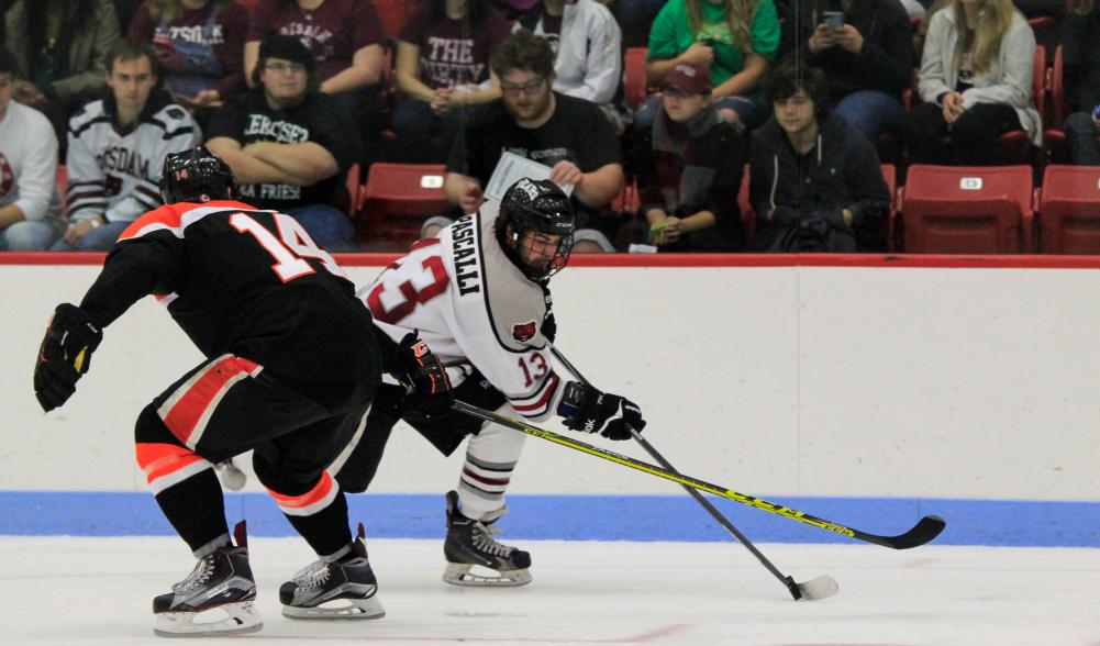 Two hockey players fight for the puck in front of fans.