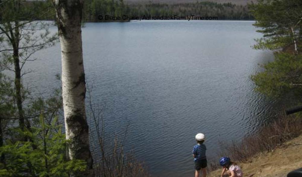 Shoreline of Lake Kushaqua