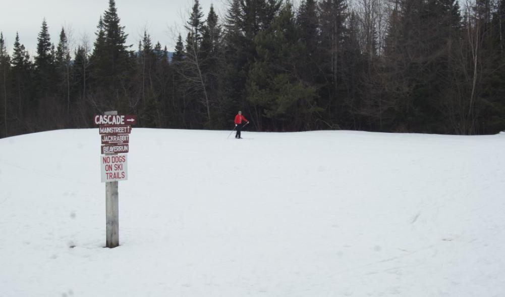 Cascade Sign