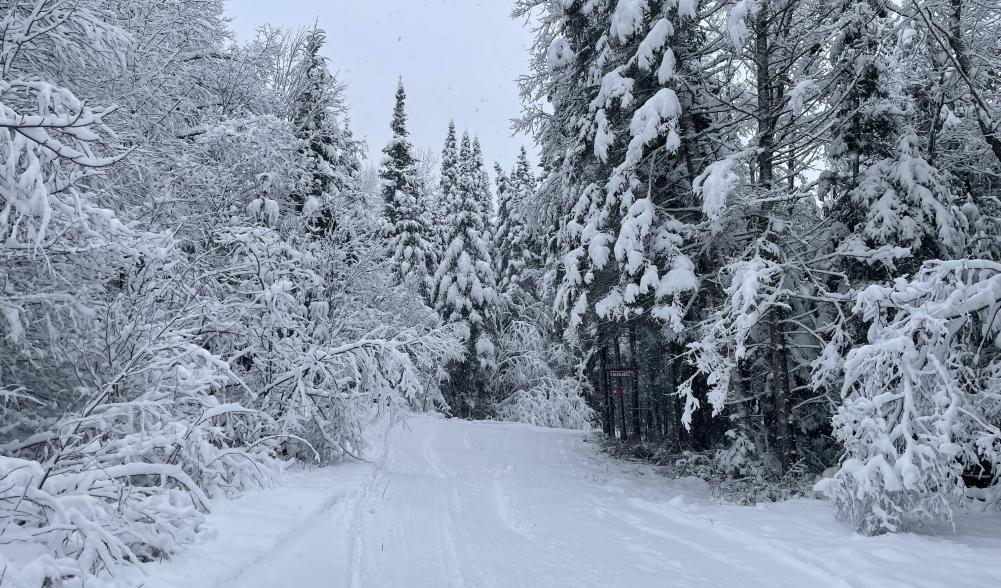 The groomed xc ski trail at Cascade Welcome Center