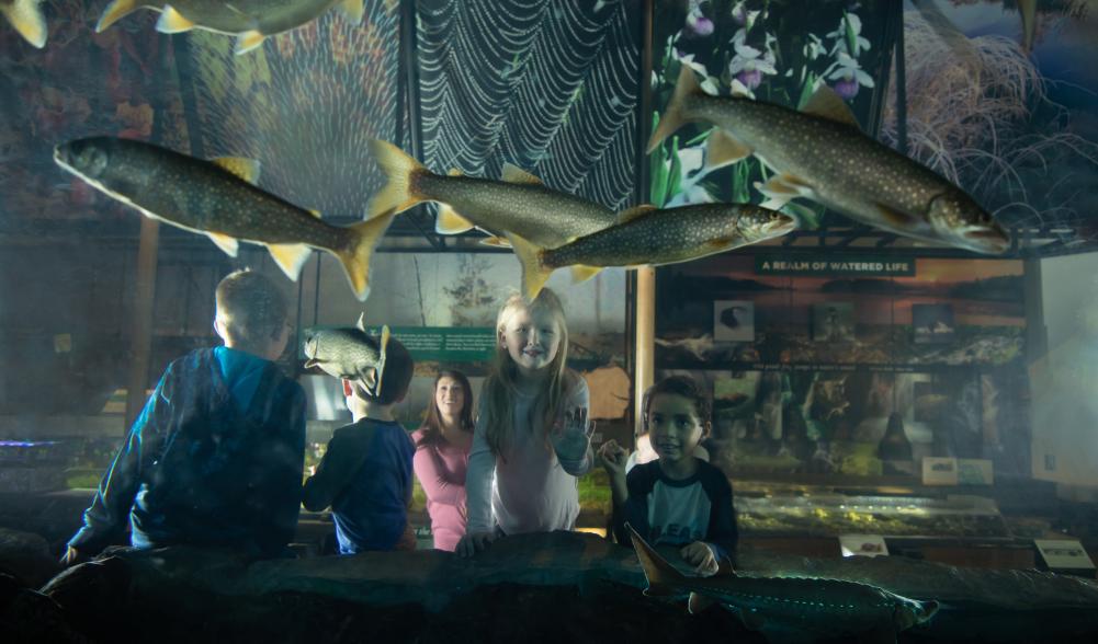 Kids look at fish in an aquarium tank