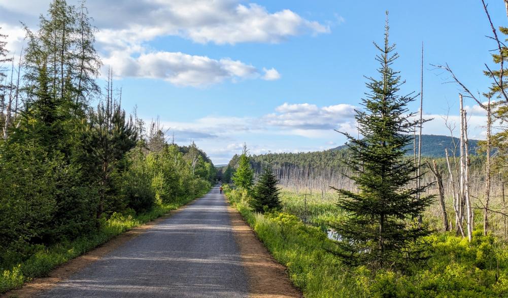 A paved path stretches through Adirondack wetland.