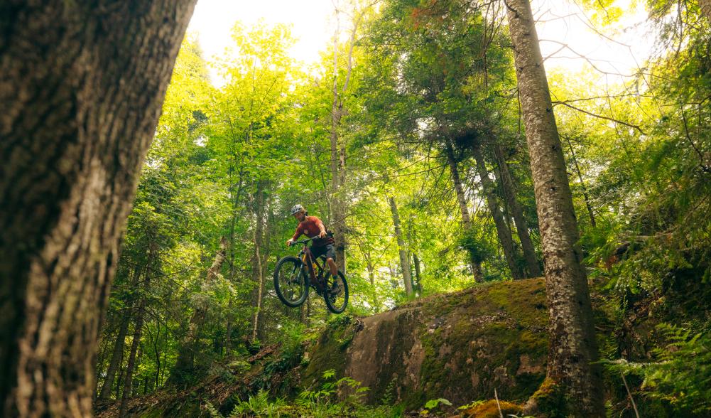 A group of three mountain bikers going downhill