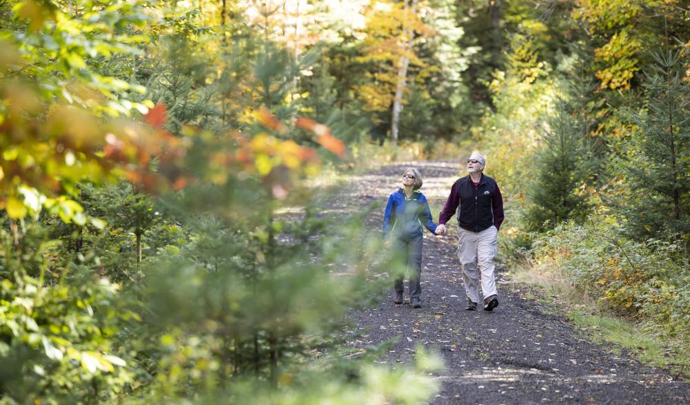 A couple walks down the Adirondack Rail Trail holding hands and looking at the fall leaves.