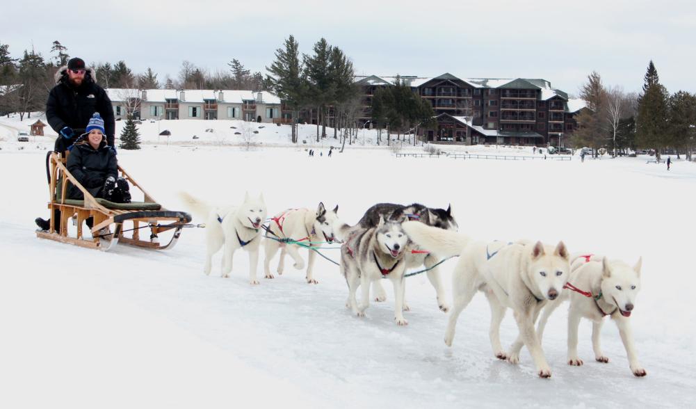 A team of six dogs pulls a sled with a driver and passenger.