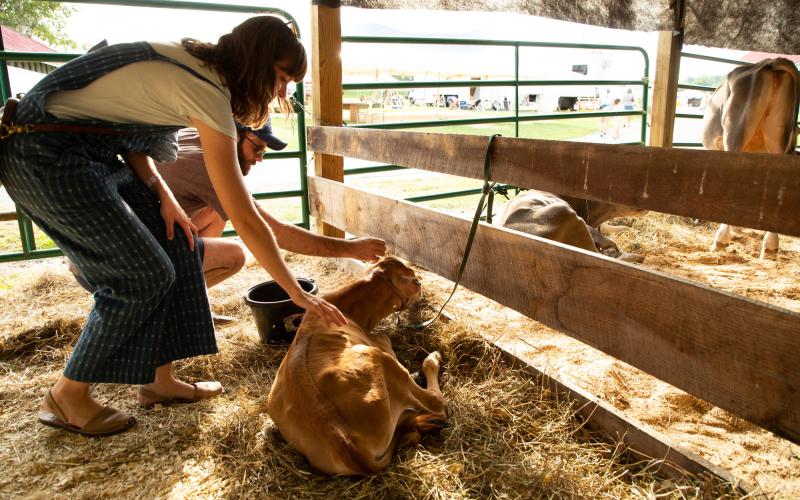 woman petting a cow at the fair