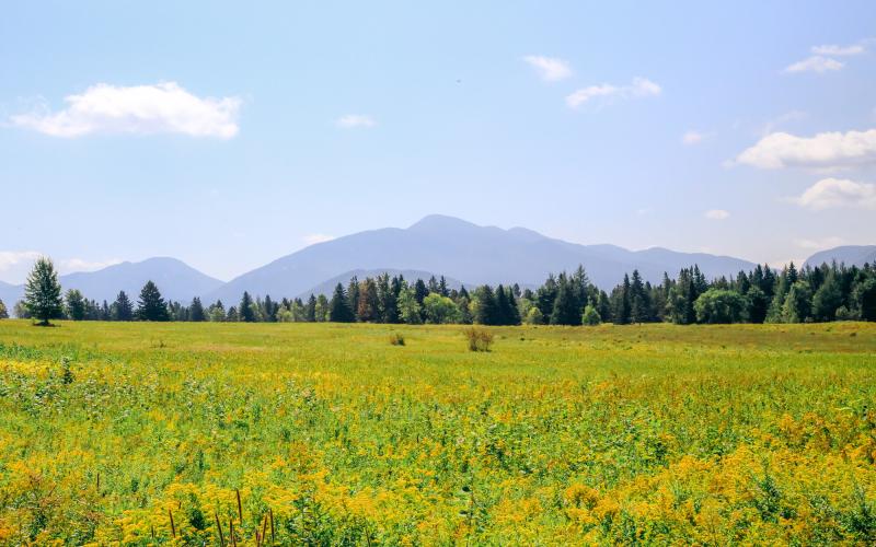 View across a grassy meadow of tall mountains