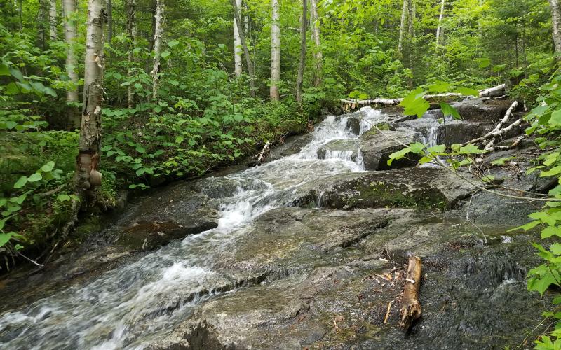 A cascading flow of water over rocks